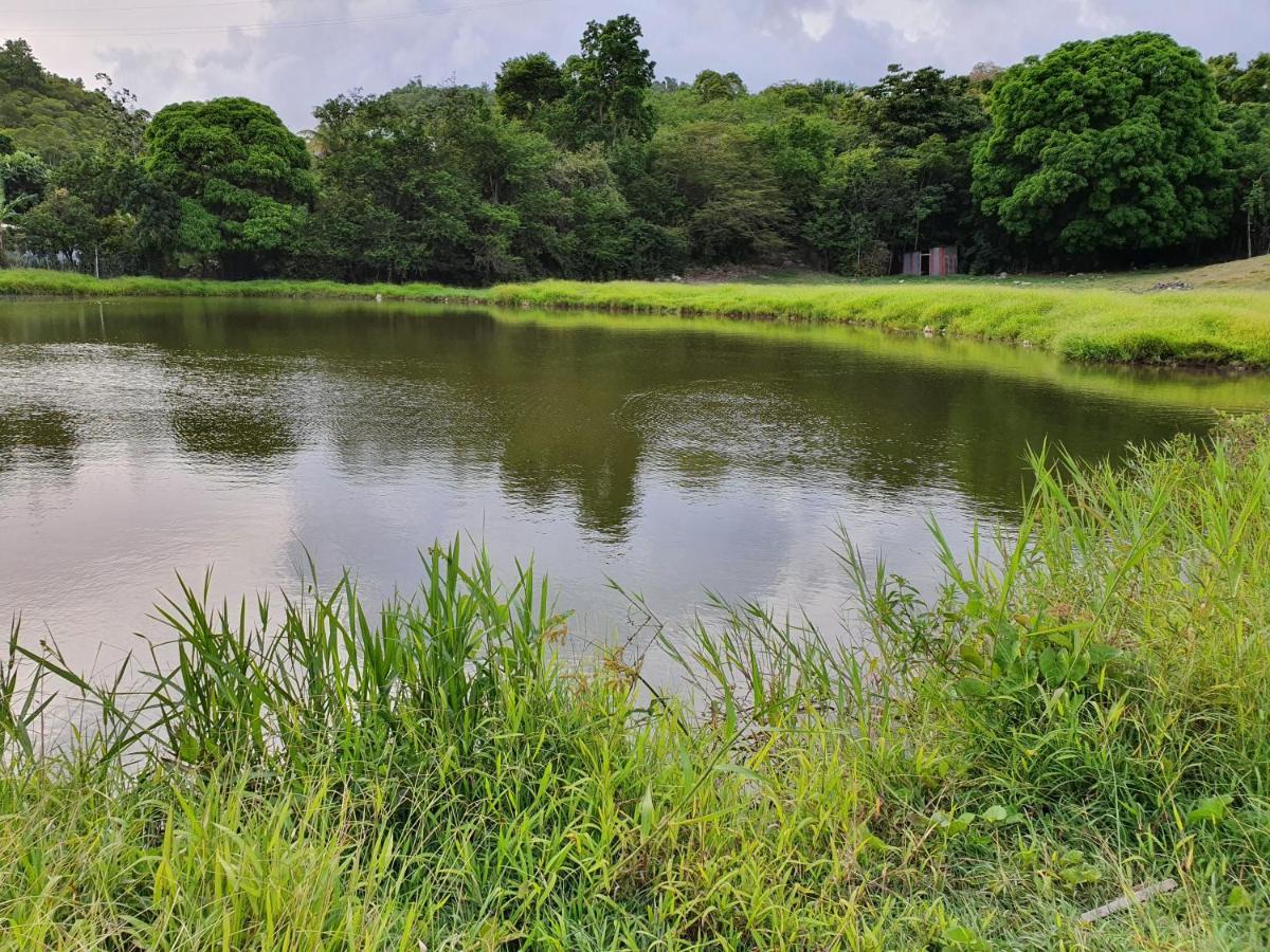 Villa Aichy Rabi Luaran gambar