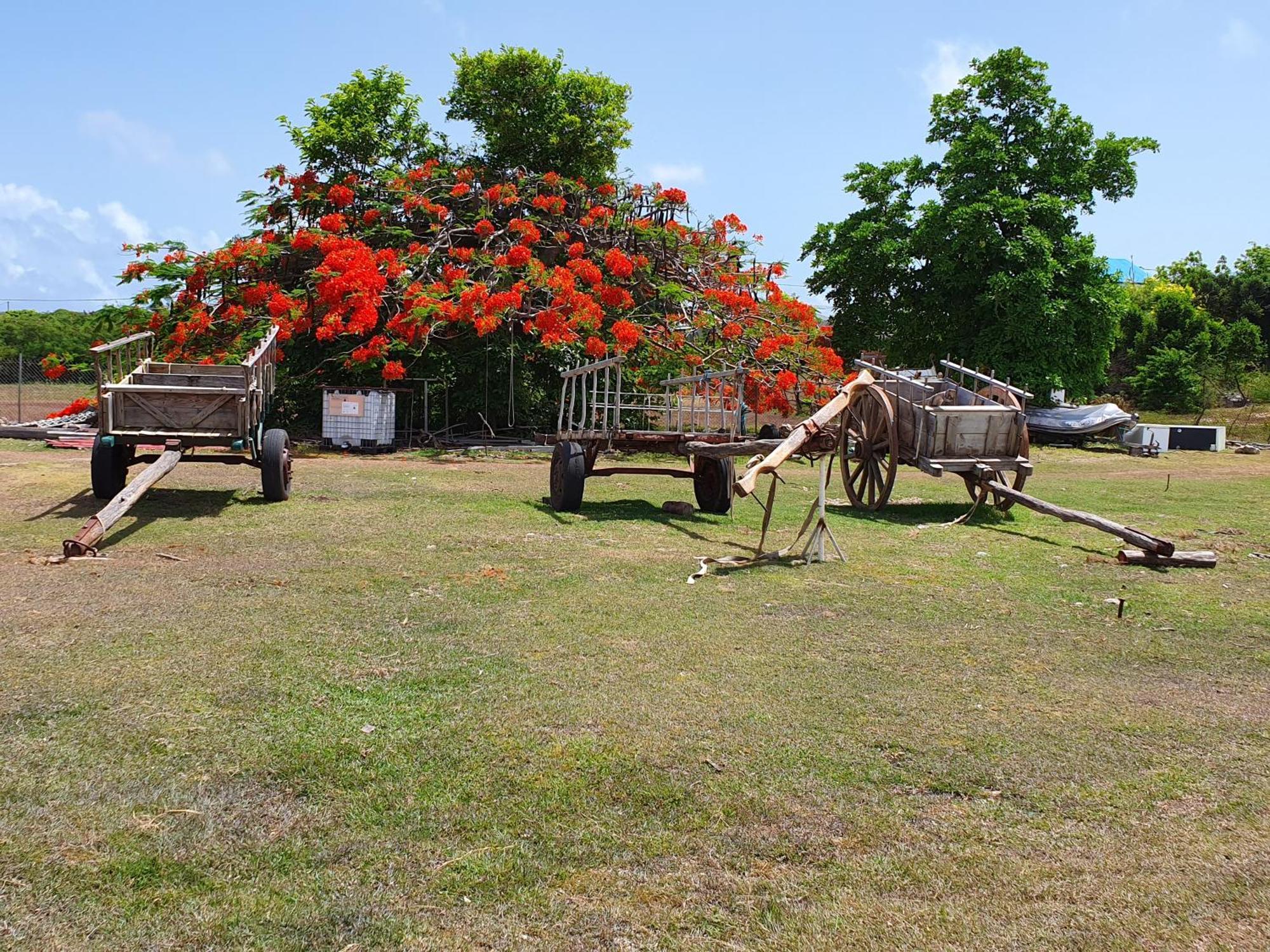 Villa Aichy Rabi Luaran gambar